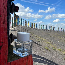 Leider ist die Spitze der Hanielhalde auf Grund von Erosion geschlossen. Ob sie noch einmal instand gesetzt werden kann, ist fraglich. Also ist dies wohl das letzte Foto mit der faszinierenden Kulisse.
