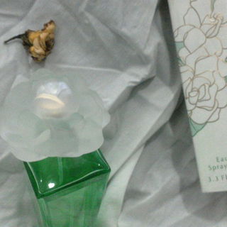 Gardenia by Elizabeth Taylor