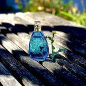 Heartlight (by Kokusai)