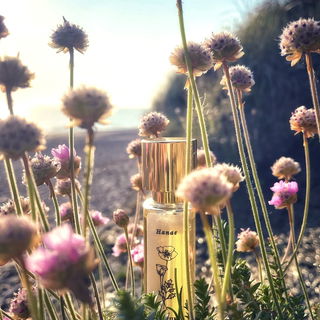 Hanae von Aureum Botanica