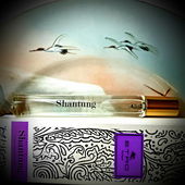 Reiseflakon auf Flugreise (by CharlAmbre)