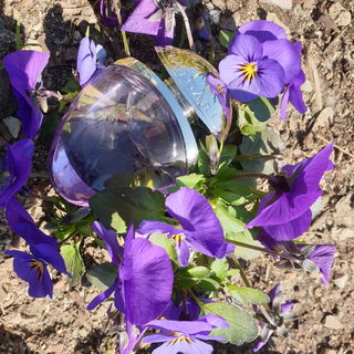 Omnia Amethyste (Eau de Toilette) von Bvlgari