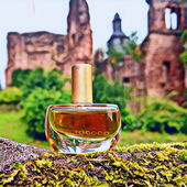 Ob hier zu Zeiten des Rokoko wohl rauschende Feste stattgefunden haben ? (von MadameLegras)