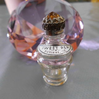 Sweet Pea by Duvinne