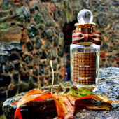 🤴🏻👸Ganz herzlichen Dank für Euren lieben Besuch und Eure tollen Kommentare 💛🧡 - ich freue mich sehr🥰 (von Timmama)