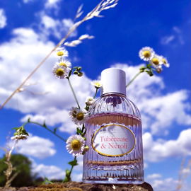 Tubéreuse & Néroli - Jeanne en Provence