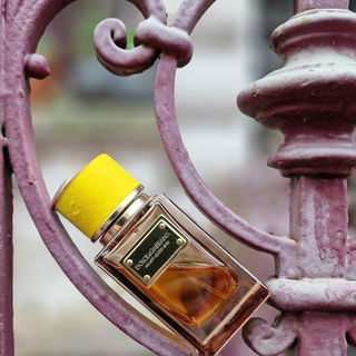 Velvet Amber Skin by Dolce & Gabbana