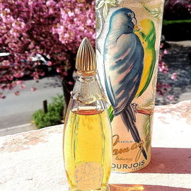 Ramage (Parfum) - Bourjois