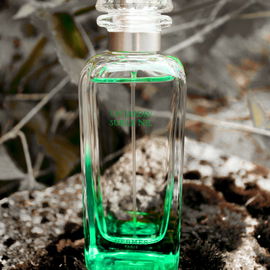 von Klipsidra