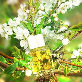 White Linen (Eau de Parfum) - Estēe Lauder
