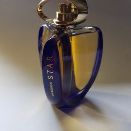 Star - Mauboussin