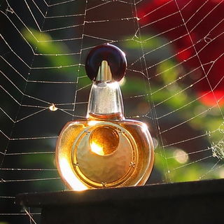 Mahora (Eau de Parfum) - Guerlain