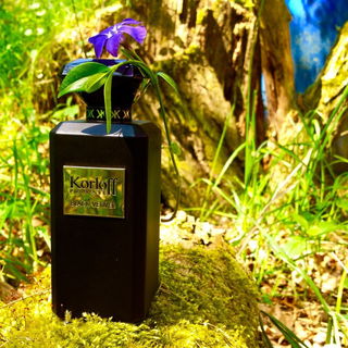 Black Vetiver - Korloff