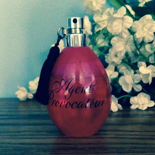 Strip by Agent Provocateur