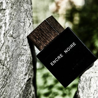 Encre Noir Lumière forte