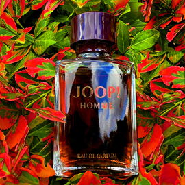 Joop! Homme (Eau de Parfum) - Joop!