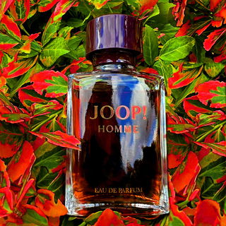 Joop! Homme (Eau de Parfum) - Joop!