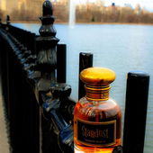 Stardust at Central Park, NYC (von Centifolia)