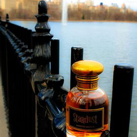 Stardust at Central Park, NYC