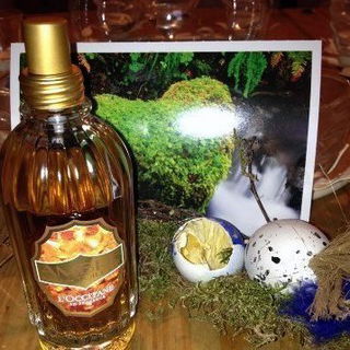 Ambre / Amber (Eau de Toilette) by L'Occitane en Provence