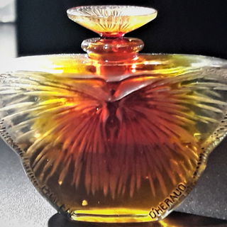 Phalene von d'Heraud