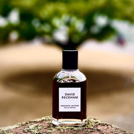 Aus David wächst ein Baum 🌳 😁.  Der Duft erinnert an Tom Ford Eau d’Ombre Leather, anfangs sehr ähnlich, dann etwas zurückhaltender und mit einer süßeren Note. Und das Beste: der Geldbeutel bleibt entspannt. Danke fürs Vorbeischauen und liebe Grüße! 🙏🥰🖤
