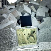 Fundament(al) - Vielen lieben Dank für eure Kommentare 🩶🏰 (von CharlAmbre)