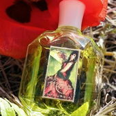 Frühsommernachmittag im Feld mit kleinen Krabbelein 🐜🌞 (von Skydiver19)