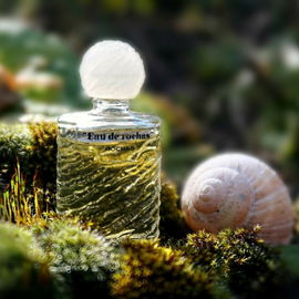 Eau de Rochas (1970) (Eau de Toilette) - Rochas