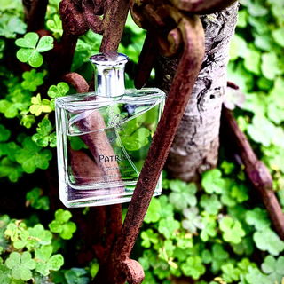 …📷🌍 Thank you. Danke schön. Merci beaucoup. Muchas gracias. Dōmo arigatō gozaimasu 💐…
