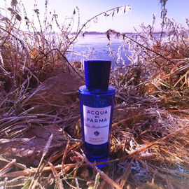 Chinotto di Liguria - Acqua di Parma