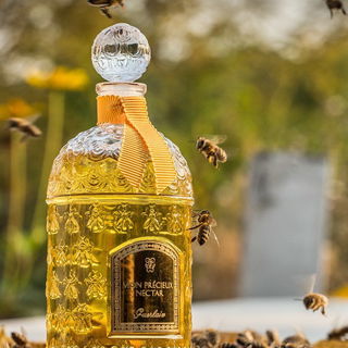 Singular Oud - Urban Scents