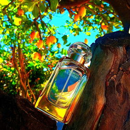 Terracotta Le Parfum - Guerlain