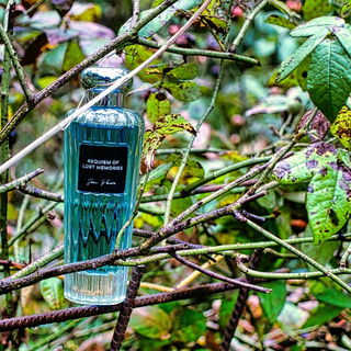 Requiem Of Lost Memories - Jean Poivre