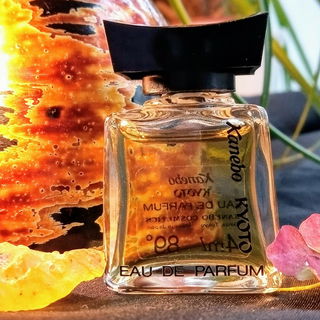 bin gerade ziemlich verliebt in diesen spannungsreichen transparent zarten bis harzigen Lockduft