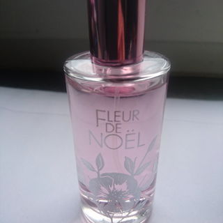 Fleur de Noël 2008 - Yves Rocher