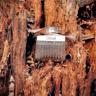 Chloé (2007) (Eau de Parfum) by Chloé