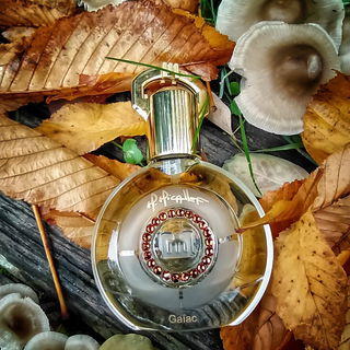 Ambre Tabac (Eau de Parfum) - Daniel Josier