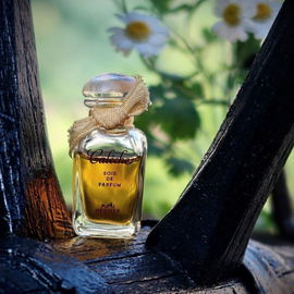 Calèche (Soie de Parfum) - Hermès