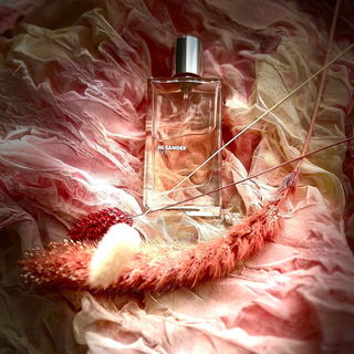 Erwischt…. Ein Sonnenstrahl im Winter ❄️ 📸☀️