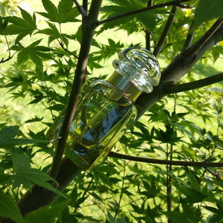 Voce Viva (Eau de Parfum) - Valentino