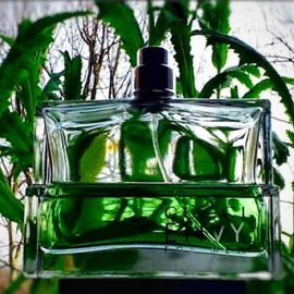 Envy for Men (Eau de Toilette) - Gucci