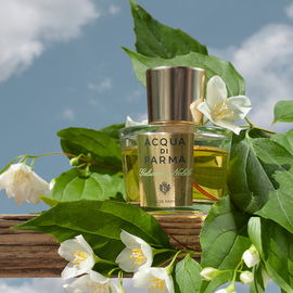 Gelsomino Nobile - Acqua di Parma