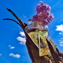 Champs-Élysées (Eau de Toilette) - Guerlain