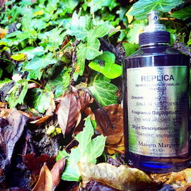Scent of the Forest