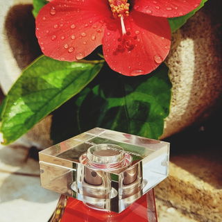 Narciso (Eau de Toilette Rouge) - Narciso Rodriguez