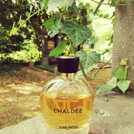 Chaldée (2013) - Jean Patou