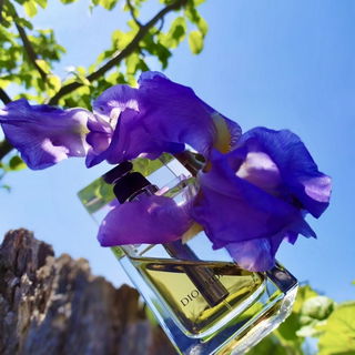 Dior Homme (2005) - Dior