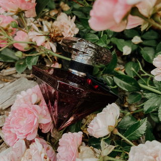 La Nuit Trésor à la Folie von Lancôme