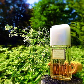 Diorissimo (1956) (Eau de Toilette) - Dior